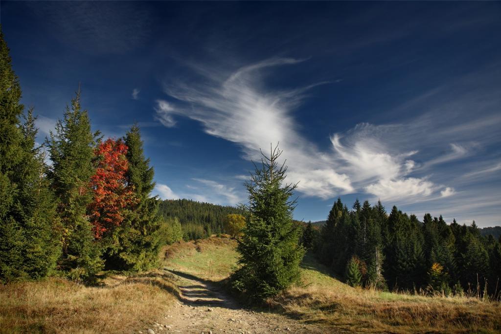 Domek Buflak Nowy Targ Kamer foto